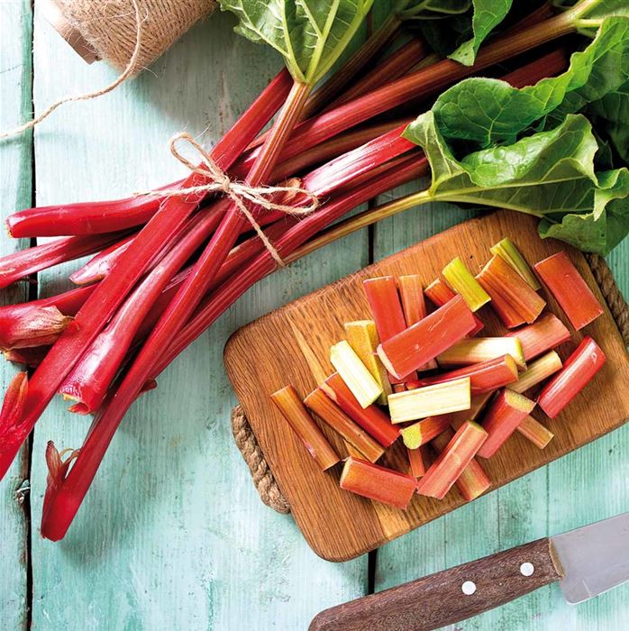 Rhabarber 'Sanvitos® Summer'