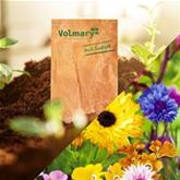 Blumenmischung 'Einhorn-Blumen-Mix'