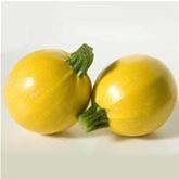 Runde Zucchini 'Floridor' F1