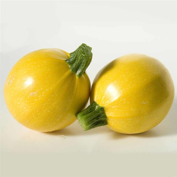 Runde Zucchini 'Floridor' F1