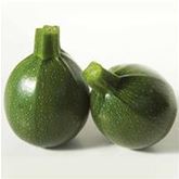 Runde Zucchini 'Satelite' F1