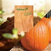 Halloween-Kürbis 'Cargo' F1