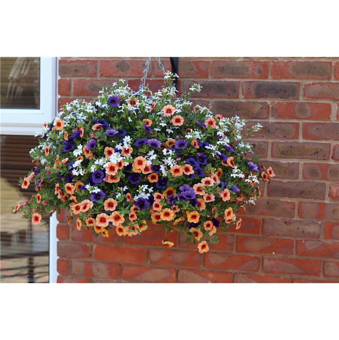 Hänge-Ampel-Mix 'Farbspiel'