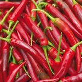 Blumen-Mischung 'Bee Happy'