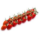 Cherry-Tomate 'Delisher', veredelt