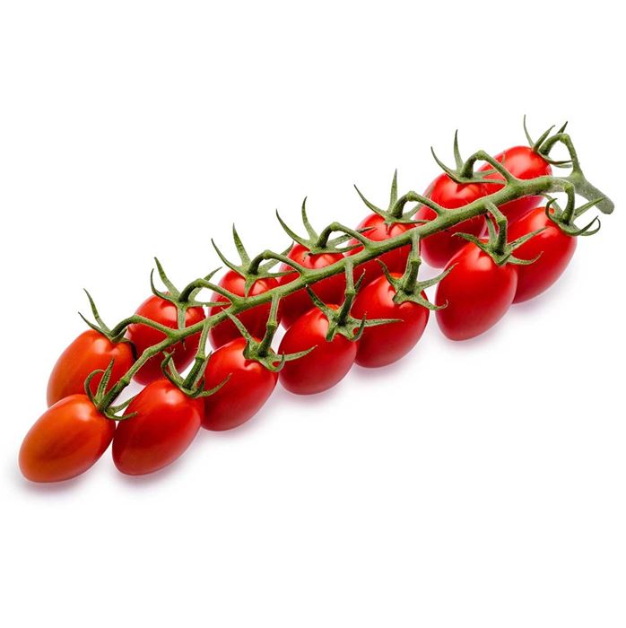 Cherry-Tomate 'Delisher', veredelt