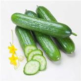 Midi-Schlangengurke 'Melva®' (Midios) F1