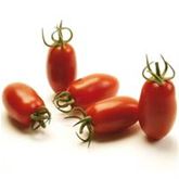 Mini San-Marzano-Tomate 'Caprese' F1, veredelt