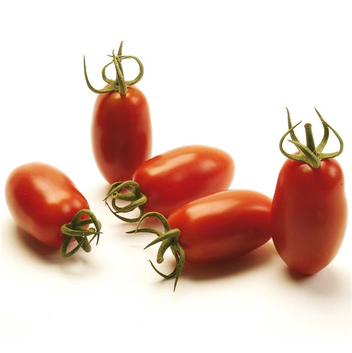 Mini San-Marzano-Tomate 'Caprese' F1, veredelt