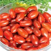 Mini San-Marzano-Tomate 'Caprese' F1, veredelt