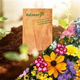 Samenbomben-Mischung 'Der Nektargarten für Bienen'