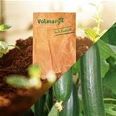 Schlangengurke 'Kiruna® (Fitness)' F1