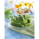 Mini-Snackgurke 'Minero® (Mini Stars)' F1