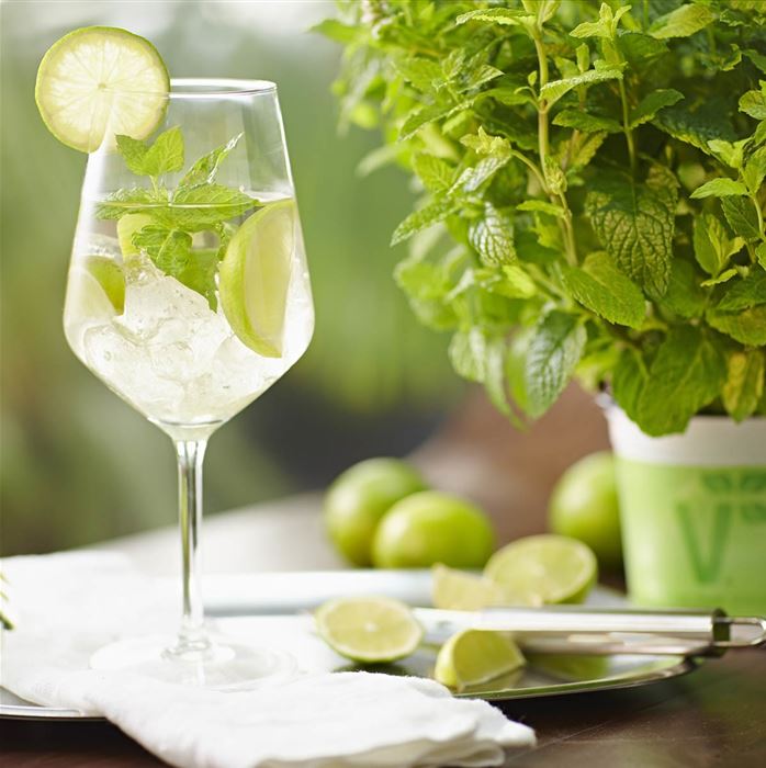 Cocktailminze 'Hugo'