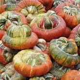 Deko-Kürbis 'Turban Mix'