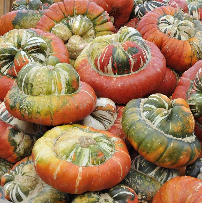 Deko-Kürbis 'Turban Mix'