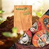 Deko-Kürbis 'Turban Mix'