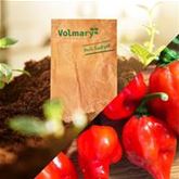 Trinidad-Chili 'Fortado® Red'