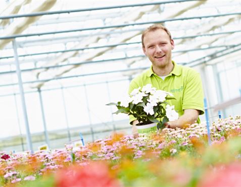 Aktuelle Stellenangebote