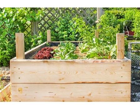 10 Tipps für ein langlebiges Hochbeet anlegen