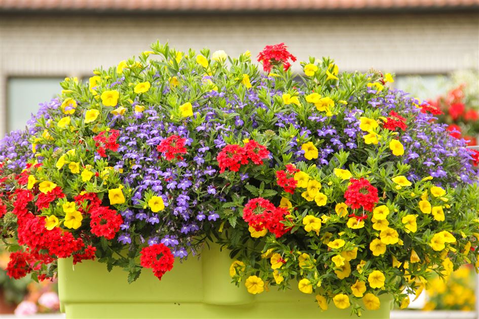 blumenkasten sichtschutz balkon Flexi-Design Blumenkasten mit Sichtschutz für Balkone – Potflex main image 1