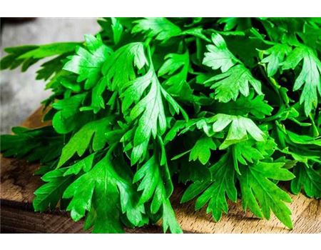 Asiatisches Hochbeet bepflanzen