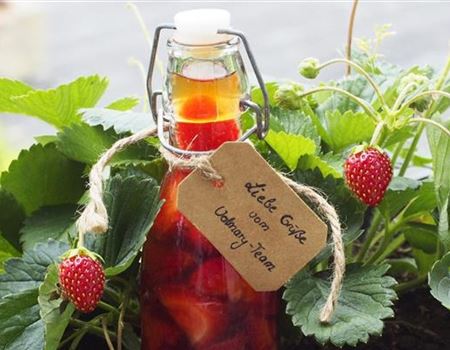 Beauty-Tipp: Erdbeer-Gesichtswasser 