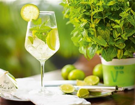 Cocktails mit Kräutern