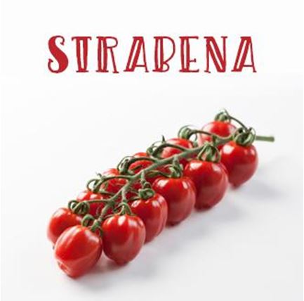 starbena-3.jpg