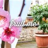 Aprikose 'Fruit Me® Apricot'
