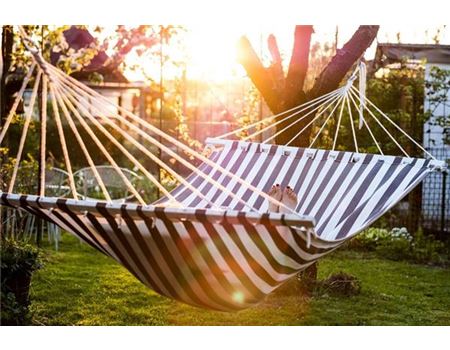 „Jede selbst geerntete Möhre ist ein Erfolg!“