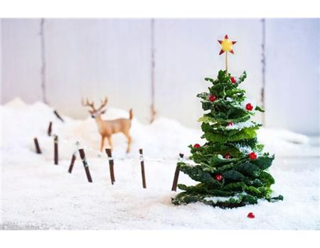 24 Geschenkideen für Gartenfreunde & Gartenfreundinnen