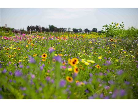 Das 3. Garten-Blogger-Treffen im Rückblick 