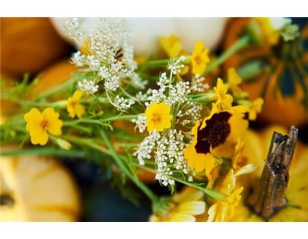 10 Tipps für die Gartenarbeit im Herbst