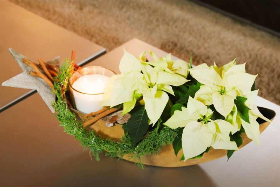 Tischdeko mit Weihnachtssternen