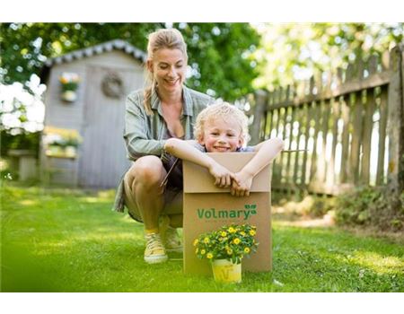 Der Garten als Abenteuerspielplatz